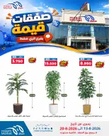 Meem Market offers in Alray from 13 to 20 August 2026 Value Deals - Meem Market - Kuwait - 13 August 2026 – 20 August 2026 - Page 18