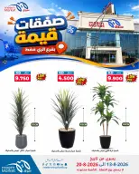 Meem Market offers in Alray from 13 to 20 August 2026 Value Deals - Meem Market - Kuwait - 13 August 2026 – 20 August 2026 - Page 7