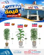 Meem Market offers in Alray from 13 to 20 August 2026 Value Deals - Meem Market - Kuwait - 13 August 2026 – 20 August 2026 - Page 13