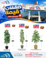 Meem Market offers in Alray from 13 to 20 August 2026 Value Deals - Meem Market - Kuwait - 13 August 2026 – 20 August 2026 - Page 5