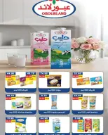 Bashaer Hypermarket Egypt offers from 15 August to 10 September 2026 Welcome Summer Deals - Bashaer Hypermarket - Egypt - 15 August 2026 – 10 September 2026 - Page 6
