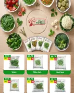 Bashaer Hypermarket Egypt offers from 15 August to 10 September 2026 Welcome Summer Deals - Bashaer Hypermarket - Egypt - 15 August 2026 – 10 September 2026 - Page 9