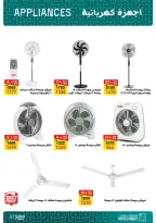 Fathalla Market offers from 13 to 31 August 2026 Summer Sale - Fathalla Market - Egypt - 13 August 2026 – 31 August 2026 - Page 15