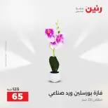 Raneen offers from 16 to 17 August 2026 Gifts and Decorations Offers - Raneen - Egypt - 16 August 2026 – 17 August 2026 - Page 69
