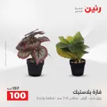 Raneen offers from 16 to 17 August 2026 Gifts and Decorations Offers - Raneen - Egypt - 16 August 2026 – 17 August 2026 - Page 64