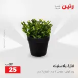 Raneen offers from 16 to 17 August 2026 Gifts and Decorations Offers - Raneen - Egypt - 16 August 2026 – 17 August 2026 - Page 60