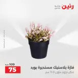 Raneen offers from 16 to 17 August 2026 Gifts and Decorations Offers - Raneen - Egypt - 16 August 2026 – 17 August 2026 - Page 61