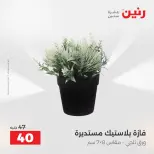 Raneen offers from 16 to 17 August 2026 Gifts and Decorations Offers - Raneen - Egypt - 16 August 2026 – 17 August 2026 - Page 65
