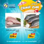 Awlad Ragab offers from 17 to 18 August 2026 Midweek Deals - Awlad Ragab - Egypt - 17 August 2026 – 18 August 2026 - Page 9