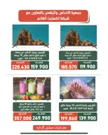 عروض جمعية الأندلس والرقعى التعاونية من ١٩ حتى ٣١ أغسطس ٢٠٢٦ عروض لوازم العائلة - جمعية الأندلس والرقعى التعاونية - الكويت - 19 اغسطس 2026 – 31 اغسطس 2026 - صفحة 14