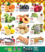Retail Mart Qatar offers from 20 to 26 August 2026 Weekly Offers - Retail Mart - Qatar - 20 August 2026 – 26 August 2026 - Page 2