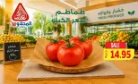 عروض المحلاوى ماركت من ٢٠ حتى ٢٢ أغسطس ٢٠٢٦ عروض الخضار والفواكه - المحلاوى ماركت - مصر - 20 اغسطس 2026 – 22 اغسطس 2026 - صفحة 11
