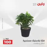 عروض رنين من ٢٥ حتى ٢٦ أغسطس ٢٠٢٦ عروض هدايا وديكورات - رنين - مصر - 25 اغسطس 2026 – 26 اغسطس 2026 - صفحة 46