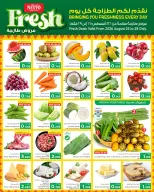 عروض نستو هايبر ماركت بفروع الفحيحيل ,حولي والفروانية من ٢٥ حتى ٣١ أغسطس ٢٠٢٦ عروض العودة إلى المدرسة - نستو - الكويت - 25 اغسطس 2026 – 31 اغسطس 2026 - صفحة 11