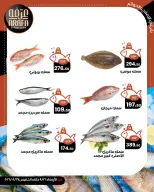 Offres Marché d'Arafa Fayoum de 26 à 27 août 2026 Vente de poisson - Marché d'Arafa - Egypte - 26 aout 2026 – 27 aout 2026 - Page 4