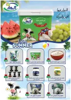 عروض رويال هاوس مصر من ٢٥ أغسطس حتى ٢٠ سبتمبر ٢٠٢٦ عروض العودة إلى المدرسة - رويال هاوس - مصر - 25 اغسطس 2026 – 20 سبتمبر 2026 - صفحة 16