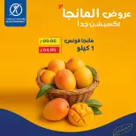 عروض إكسبشن ماركت من ٢٧ أغسطس حتى ٢ سبتمبر ٢٠٢٦ عروض المانجو - إكسبشن ماركت - مصر - 27 اغسطس 2026 – 2 سبتمبر 2026 - صفحة 3