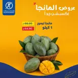 عروض إكسبشن ماركت من ٢٧ أغسطس حتى ٢ سبتمبر ٢٠٢٦ عروض المانجو - إكسبشن ماركت - مصر - 27 اغسطس 2026 – 2 سبتمبر 2026 - صفحة 1