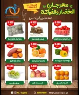 عروض جمعية العقيلة الكويت الثلاثاء ١ سبتمبر ٢٠٢٦ مهرجان الخضار والفواكه - جمعية العقيلة - الكويت - 1 سبتمبر 2026 – 1 سبتمبر 2026 - صفحة 6