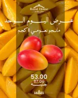 عروض رويال هاوس مصر الثلاثاء ١ سبتمبر ٢٠٢٦ عرض اليوم الواحد - رويال هاوس - مصر - 1 سبتمبر 2026 – 1 سبتمبر 2026 - صفحة 1