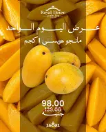 عروض رويال هاوس مصر الثلاثاء ١ سبتمبر ٢٠٢٦ عرض اليوم الواحد - رويال هاوس - مصر - 1 سبتمبر 2026 – 1 سبتمبر 2026 - صفحة 2