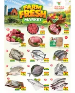 Mark & Save offers in Al Jurf from 3 to 6 September 2026 Best Days Deals - Page 8