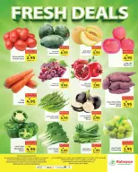 Ofertas de Kabayan Jeddah de 20 a 26 Rabiʻ I 1448 AH (3 – 9 septiembre 2026) Ofertas de truenos - Página 20