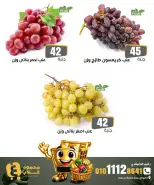 عروض أسواق غلاب بفرع الفيوم الجمعة ٤ سبتمبر ٢٠٢٦ عروض الخضار والفاكهة - صفحة 9