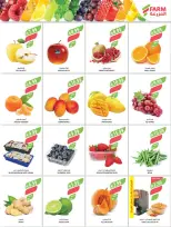 Ofertas de mercado Farm Arabia Saudita de 19 a 25 Rabiʻ I 1448 AH (2 – 8 septiembre 2026) Ofertas de atención domiciliaria - Página 24