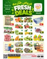 Ofertas de Makkah Albtha de 23 a 26 Rabiʻ I 1448 AH (6 – 9 septiembre 2026) Ofertas frescas - Página 1