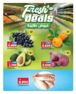 Ofertas de Gulf Mart Alshwykh de 7 a 9 septiembre 2026 Ofertas de días laborables - Página 7