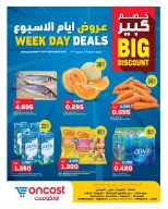 Ofertas de Oncost Kuwait de 7 a 9 septiembre 2026 Ofertas de días laborables - Página 1