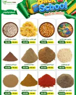 Green Tree Egypt offers from 6 to 20 September 2026 Back to School Deals - Page 4