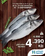 HyperMax Kuwait offers from 10 to 12 September 2026 Fresh Deals - Page 2