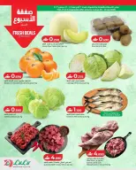 عروض لولو عمان من ١٠ حتى ١٦ سبتمبر ٢٠٢٦ عروض لولو للتوفيرات - صفحة 2