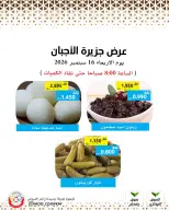 عروض جمعية وزارة الدفاع الإستهلاكية الأربعاء ١٦ سبتمبر ٢٠٢٦ عروض الأجبان - صفحة 3
