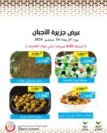 عروض جمعية وزارة الدفاع الإستهلاكية الأربعاء ١٦ سبتمبر ٢٠٢٦ عروض الأجبان - صفحة 4