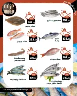 عروض عرفة ماركت بفرع الفيوم من ١٦ حتى ١٧ سبتمبر ٢٠٢٦ عروض حلقة السمك - صفحة 4