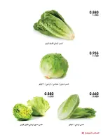 Ofertas de Sociedad cooperativa Al-Rawda y Hawali Kuwait de 17 a 18 septiembre 2026 Ofertas de frutas y verduras - Página 3