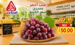 عروض المحلاوى ماركت من ١٦ حتى ١٩ سبتمبر ٢٠٢٦ عروض الخضار والفواكه - صفحة 6
