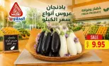 عروض المحلاوى ماركت من ١٦ حتى ١٩ سبتمبر ٢٠٢٦ عروض الخضار والفواكه - صفحة 10