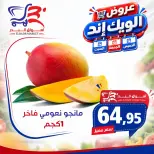 عروض أسواق البدر مصر من ١٧ حتى ١٩ سبتمبر ٢٠٢٦ عروض الويك إند - صفحة 8