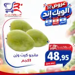 عروض أسواق البدر مصر من ١٧ حتى ١٩ سبتمبر ٢٠٢٦ عروض الويك إند - صفحة 11