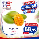 عروض أسواق البدر مصر من ١٧ حتى ١٩ سبتمبر ٢٠٢٦ عروض الويك إند - صفحة 10