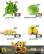 Ghallab Markets offers in Fayoum Friday 18 September 2026 Vegetable and fruit offers - Page 9