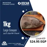 Oscar Grand Stores offers from 17 to 19 September 2026 Weekend Deals - Page 14