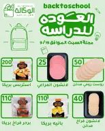 Offres Al Wakala Hyper Egypte seulement samedi 19 septembre 2026 Offre d'un jour - Page 4