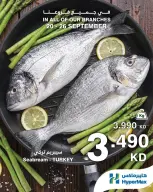HyperMax Kuwait offers from 20 to 26 September 2026 Fresh Deals - Page 3