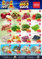 Nesto offers in Khobar, Jubail, Aldbab from 7 to 9 Rabiʻ II 1448 AH (20 – 22 September 2026) Best Days Deals - Page 2