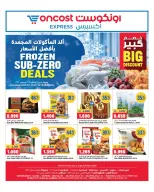Oncost Express Kuwait offers from 21 to 23 September 2026 Frozen Sub Zero Deals - Page 1